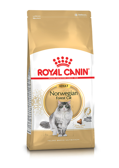 Norwegian Forest Adult Torrfoder för katt - 2 kg