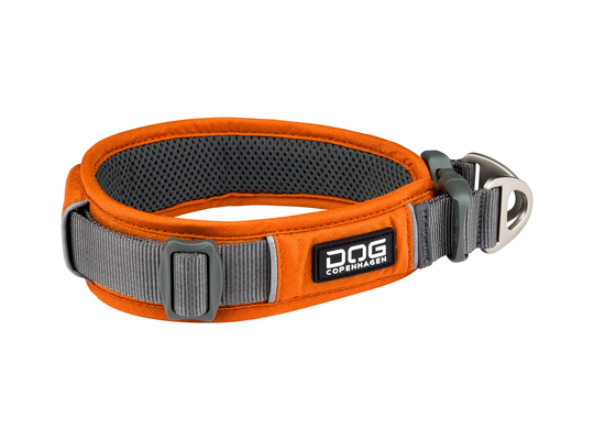 Urban Explorer Collar - XS / Orange Sun