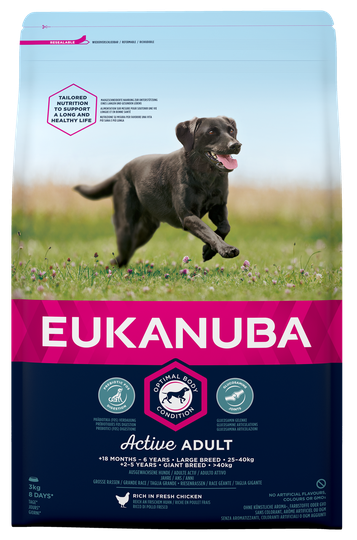 Dog Adult Large - 3 kg