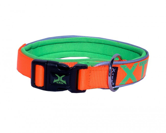 Neon Flash Collar - Medium