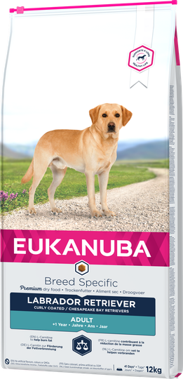 Dog Labrador - 12 kg