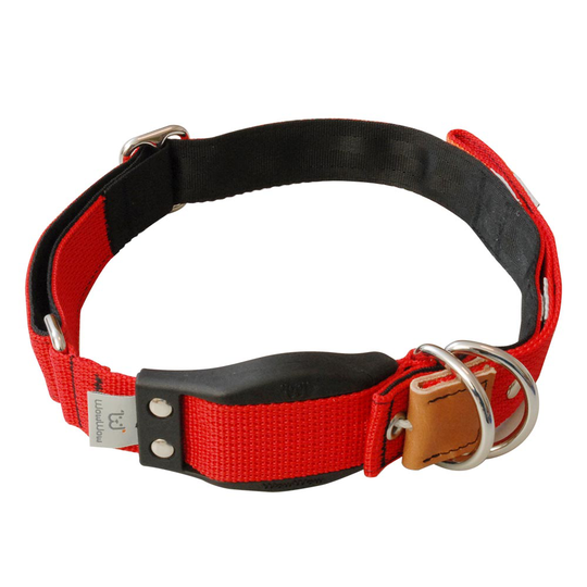 WowWow Professional, rött hundhalsband - Stl. M: 37 - 46 cm halsomfång, B 35 mm