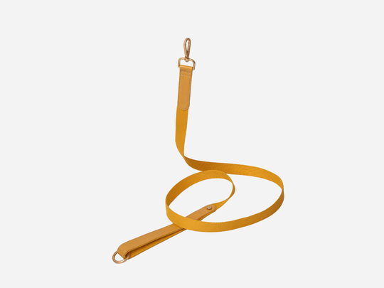 Konny Leash - Golden Yellow / S