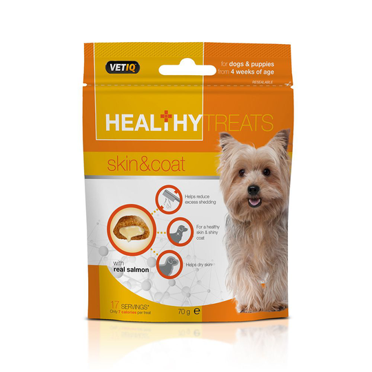 Healthy Treats Skin & Coat 70g