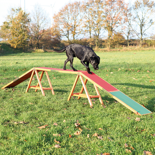 Trixie Dog Activity Agility balanshinder - L 456 x B 30 x H 64 cm