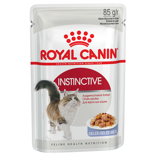 36 + 12 på köpet! 48 x 85 g Royal Canin våtfoder katt - Instinctive i gelé