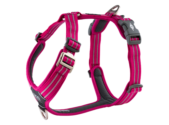 Comfort Walk Air Harness - Wild Rose / XS