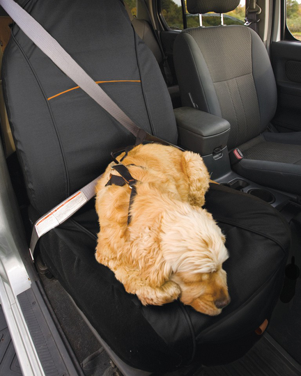 Kurgo skyddande klädsel för framsätet - CoPilot