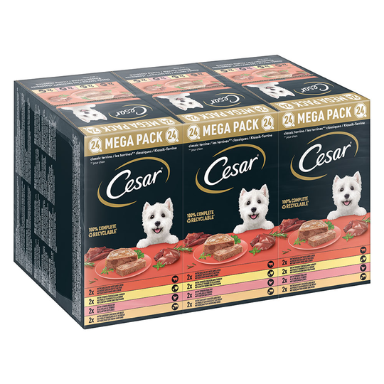 Cesar våtfoder hund till sparpris! - Classic Terrine Mix 24 x 150 g portionsform