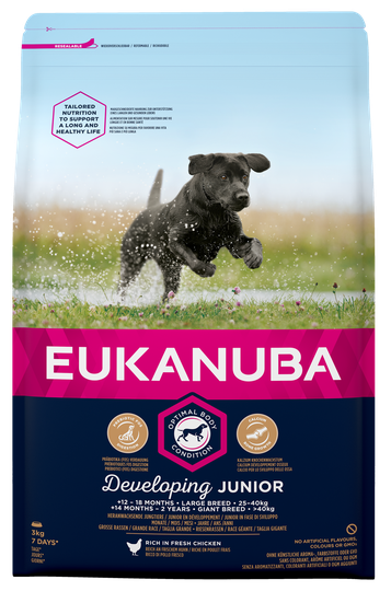 Dog Junior Large - 3 kg