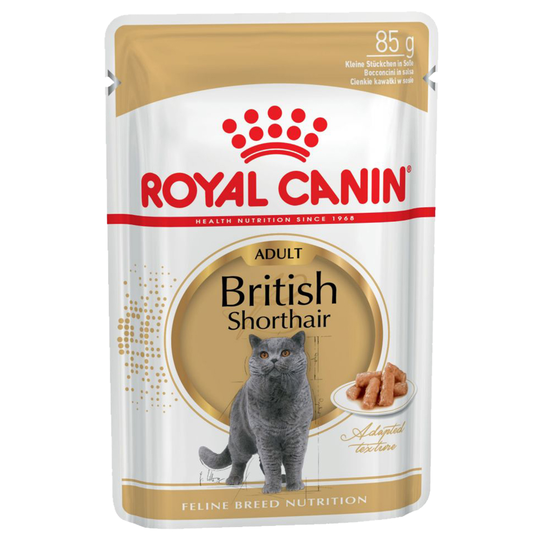 36 + 12 på köpet! 48 x 85 g Royal Canin våtfoder katt - Breed British Shorthair Adult i sås