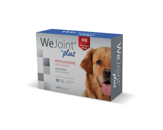 WeJoint Plus - Large Breed