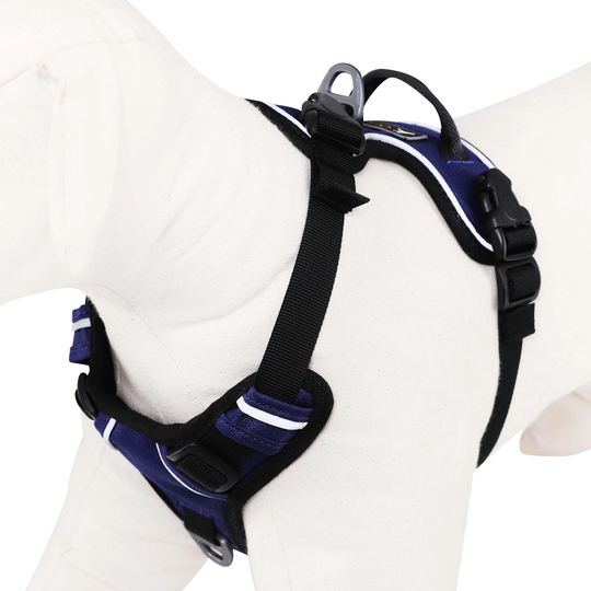 OllyDog Alpine Reflective Harness- Atlantic (S)