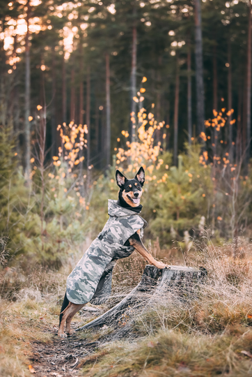 Reflekterande Vintertäcke, Camo - 25
