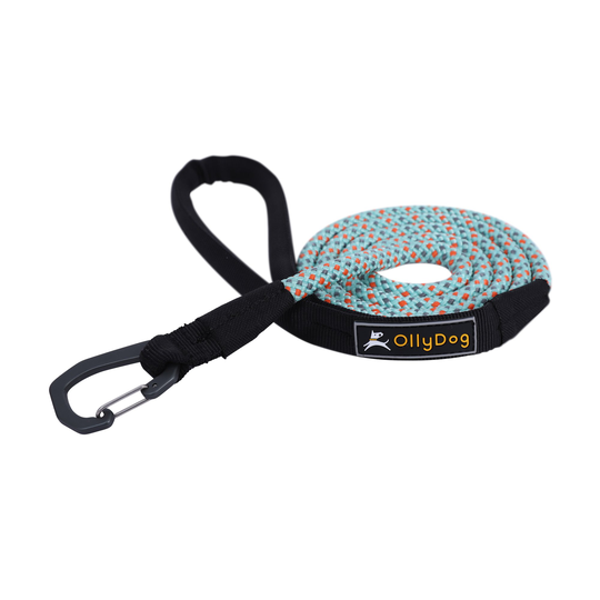 OllyDog - Mountain Leash Hundkoppel Turkos