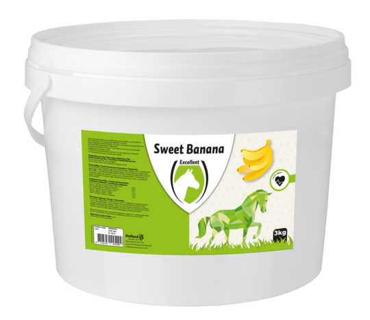 Holland Animal Care- Sweet Banana Blocks- Hästgodis - 3 kg