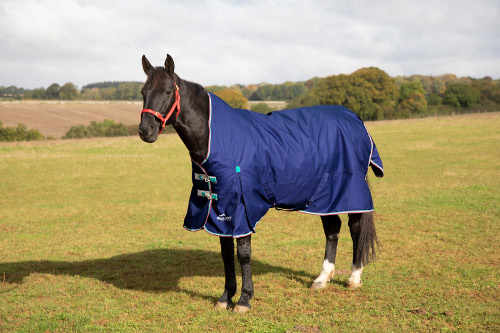 Shires - Highlander Original 100g utetäcke med halvhals (155 cm)