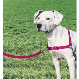 PetSafe Easy Walk - Hallon/Grå - Antidragsele (XS)