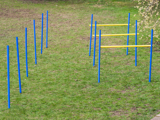 Agility Kit - Blå/gul