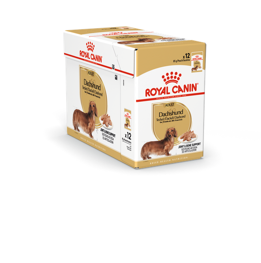 Dachshund Adult Våtfoder för hund - 12 x 85 g