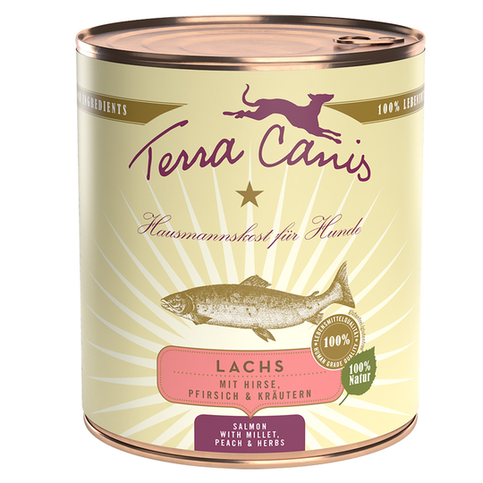 Ekonomipack: Terra Canis 12 x 800 g - Lax med hirs, persika & örter