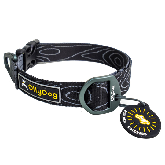 OllyDog Flagstaff Hundhalsband- Raven Bark (S)