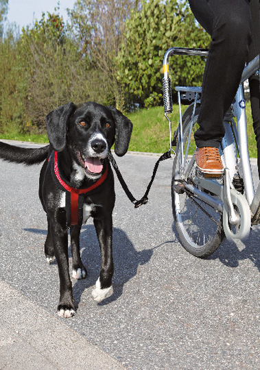 Cykelset för hund - Cykelkit för hund