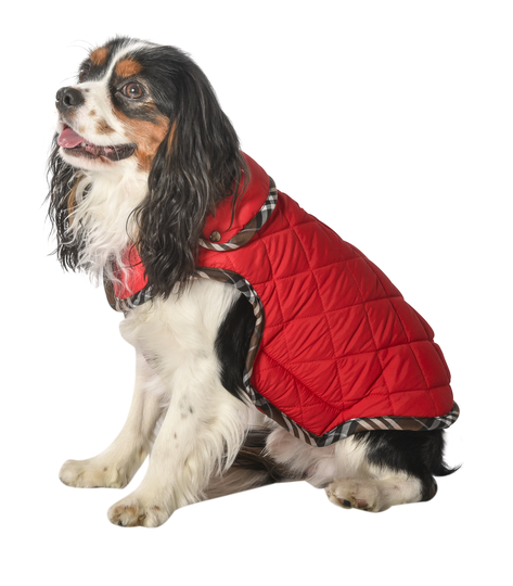 Bobby Tartan Hundjacka - Röd (L - 42 cm)