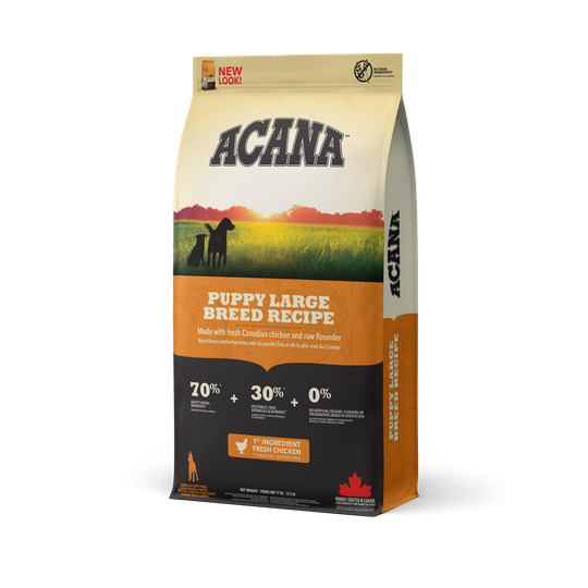 Dog Puppy Large Dog - 11,4 kg