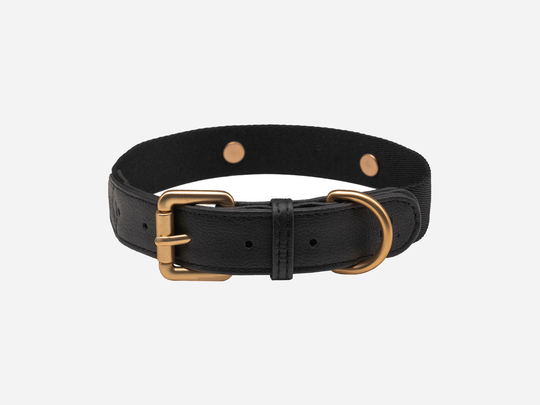 Konny Collar - XS / Ebony Black
