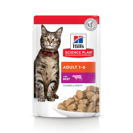 Hill's Science Plan Adult 24 x 85 g Beef