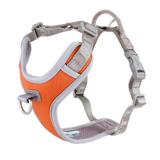 Hurtta Venture No-Pull Sele - Buckthorn (60-80cm)