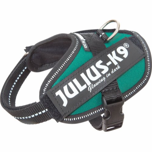 Julius-K9 IDC® Powerharness Hundsele - Petrol-green (2)