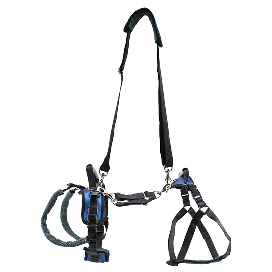 PetSafe CareLift lyftsele, svart - Stl. L: 79 - 117 cm bröstomfång