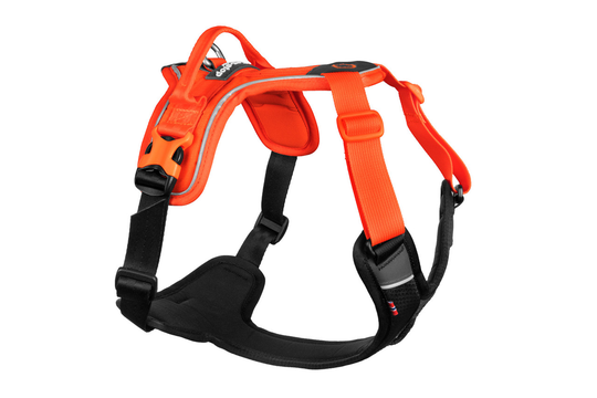Ramble Harness - Svart/Orange / XS
