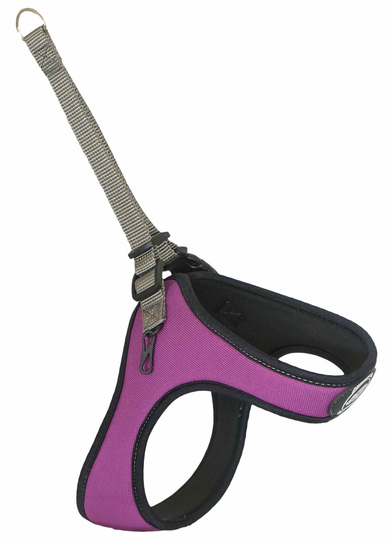 FOP Spidy Hundsele Viola XXS-M (M - 16-23 cm)