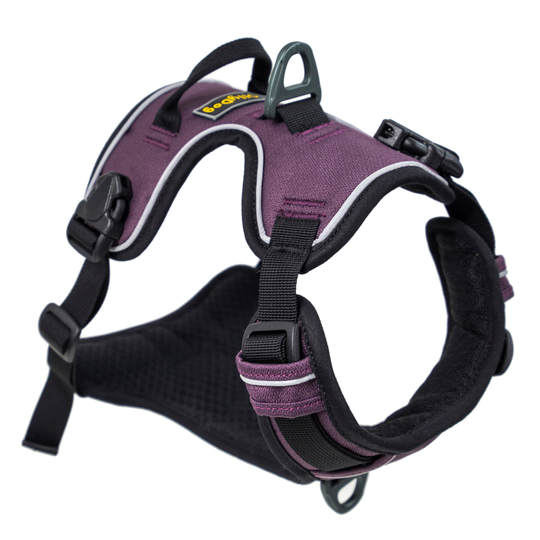 OllyDog Alpine Reflective Harness - finns i flera färger (S) (Vin)