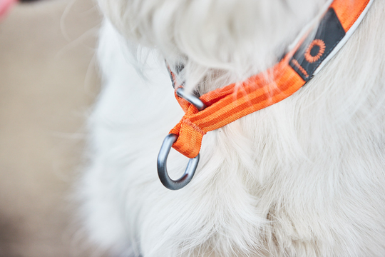 Cruise Collar Halvstryp - Orange / XXS