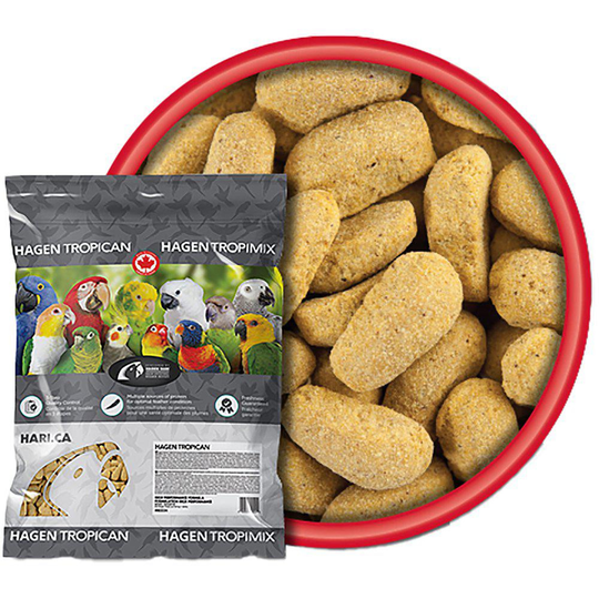 Parrot Biscuits till Unga & Växande Papegojor - 9 kg