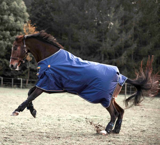 Shires - Highlander Original Regntäcke 50g (145 cm)