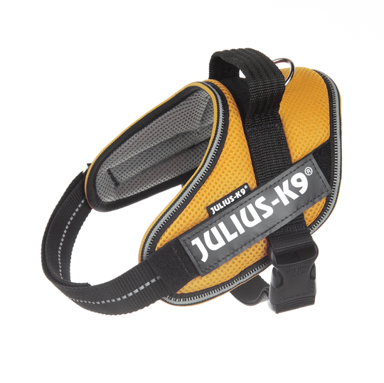 JULIUS-K9 IDC® POWAIR sele - orange - Stl. Mini: bröstomfång 49 - 67 cm