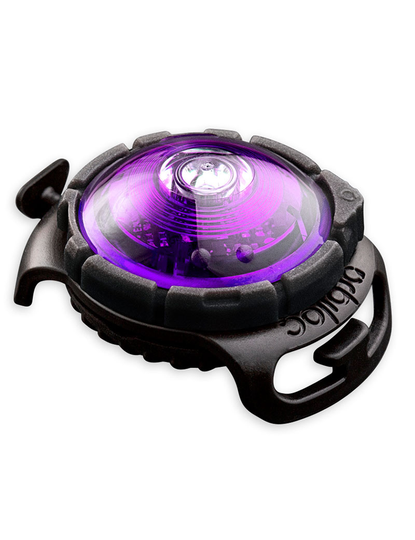 Safety Light - Lila