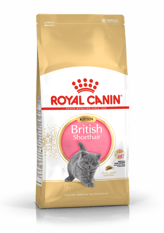 British Shorthair Torrfoder för Kattunge - 2 kg