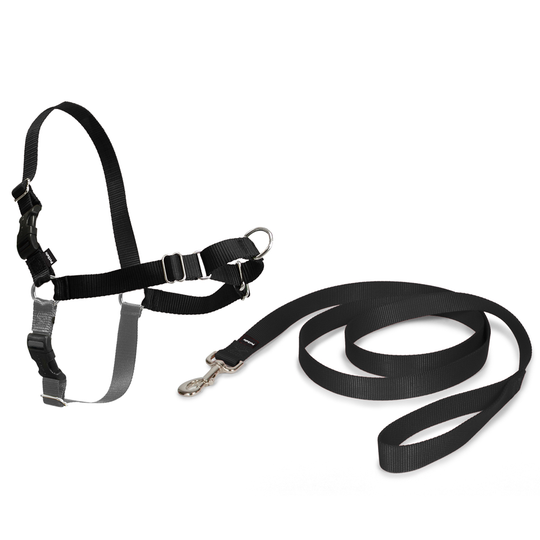 PetSafe Easy Walk Harness hundsele - Stl. L: bröstomfång 66 - 91 cm