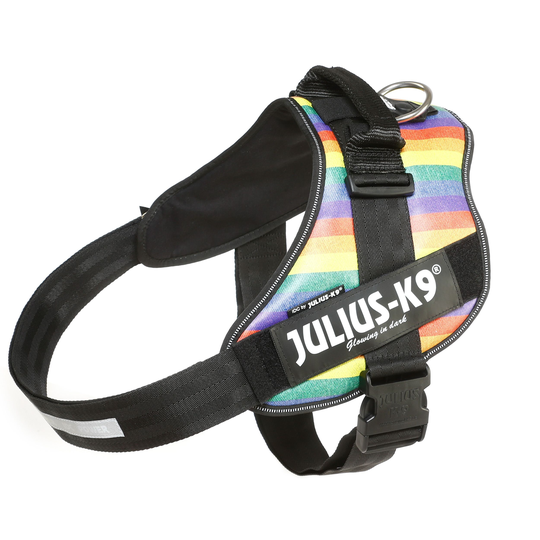 Julius-K9 IDC® Powerharness Hundsele - Rainbow (3)