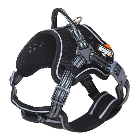Hundsele "Dog Helios™" + koppel - S (Grå)