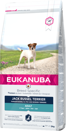 Dog Jack Russell - 2 kg