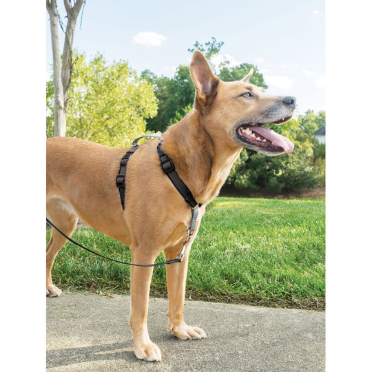 PetSafe 3 in 1 Hundsele (L)