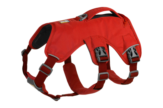Ruffwear Web Master™ Sele - Red Sumac (XXS)