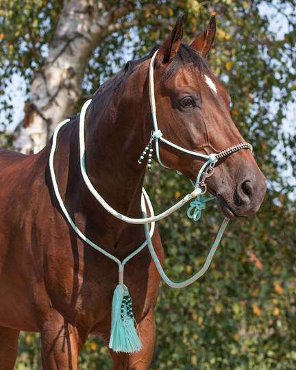 QHP Liberty Repgrimma Set med Tyglar och Halsring - Ice Green (Shetland)